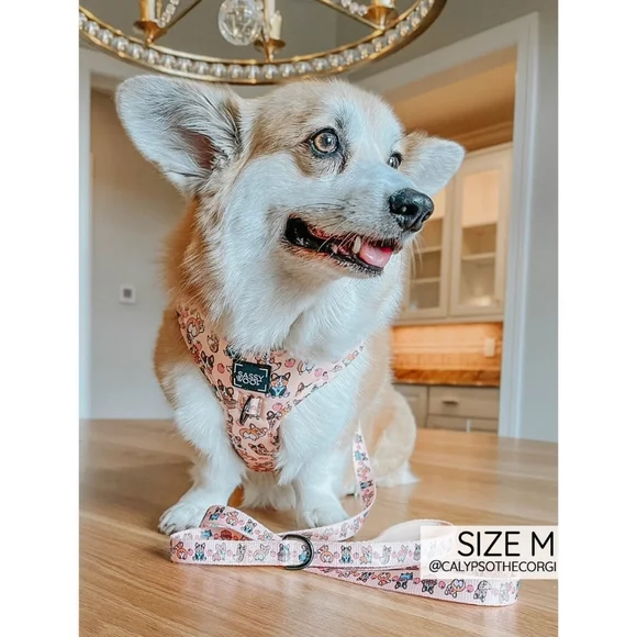 Sassy Woof Corgilicious Medium Dog Harness - Picture 15 of 16